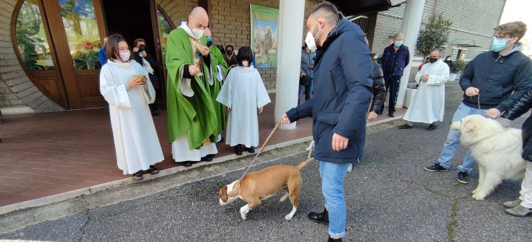 Festa di S.Antonio 2022